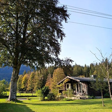 Chalet Scheffsnoth Lofer Kültér fotó