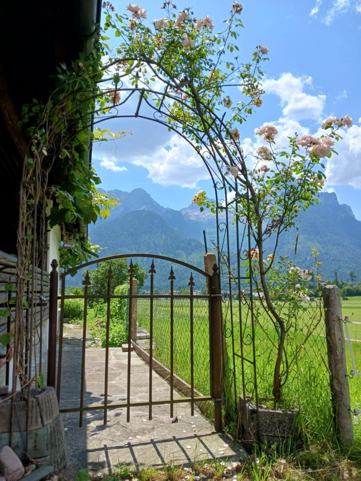Chalet Scheffsnoth Lofer Kültér fotó
