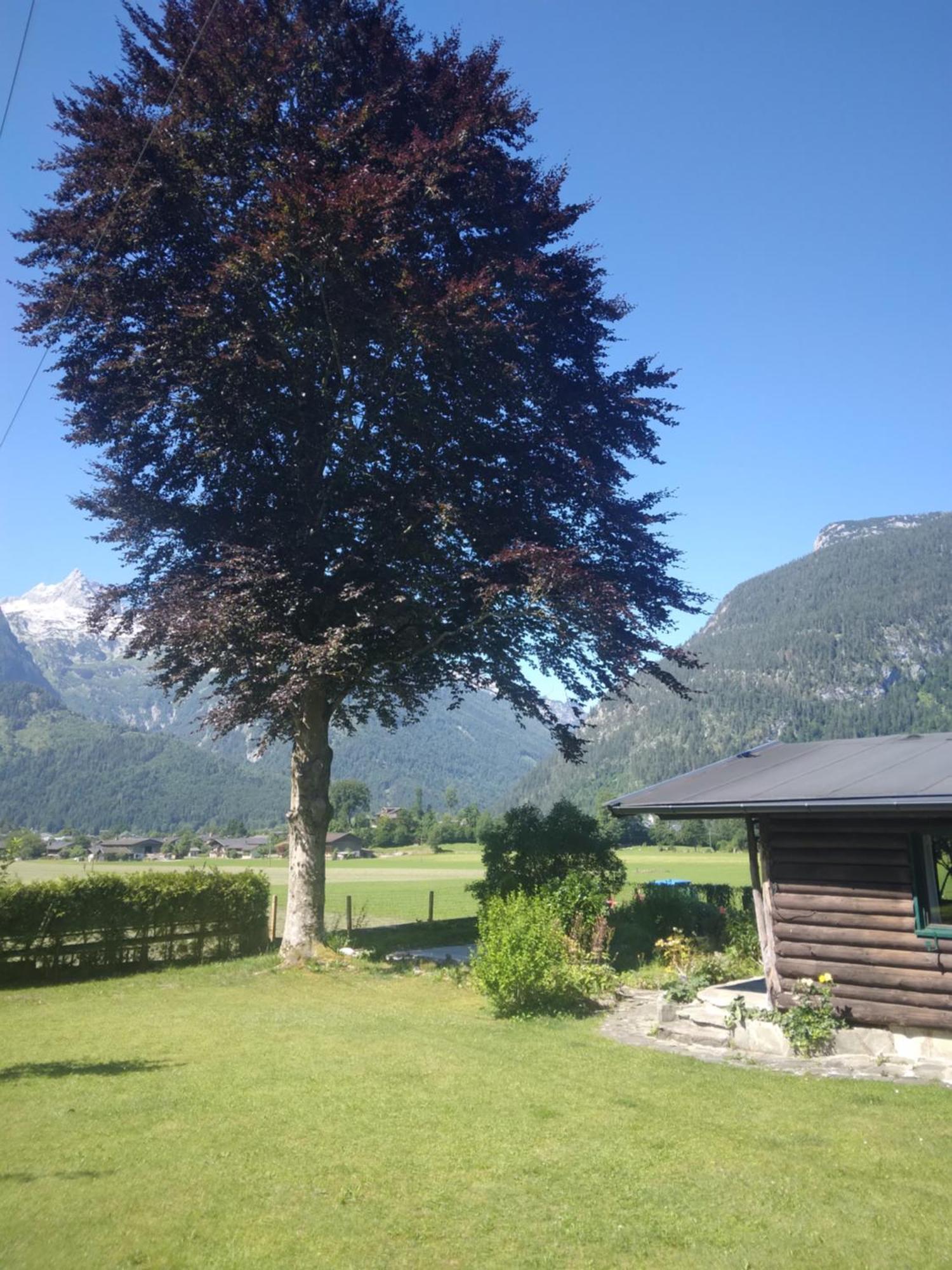 Chalet Scheffsnoth Lofer Kültér fotó